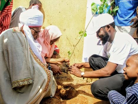 Trees of hope: How Kurna people planted trees to adapt to the climate crisis