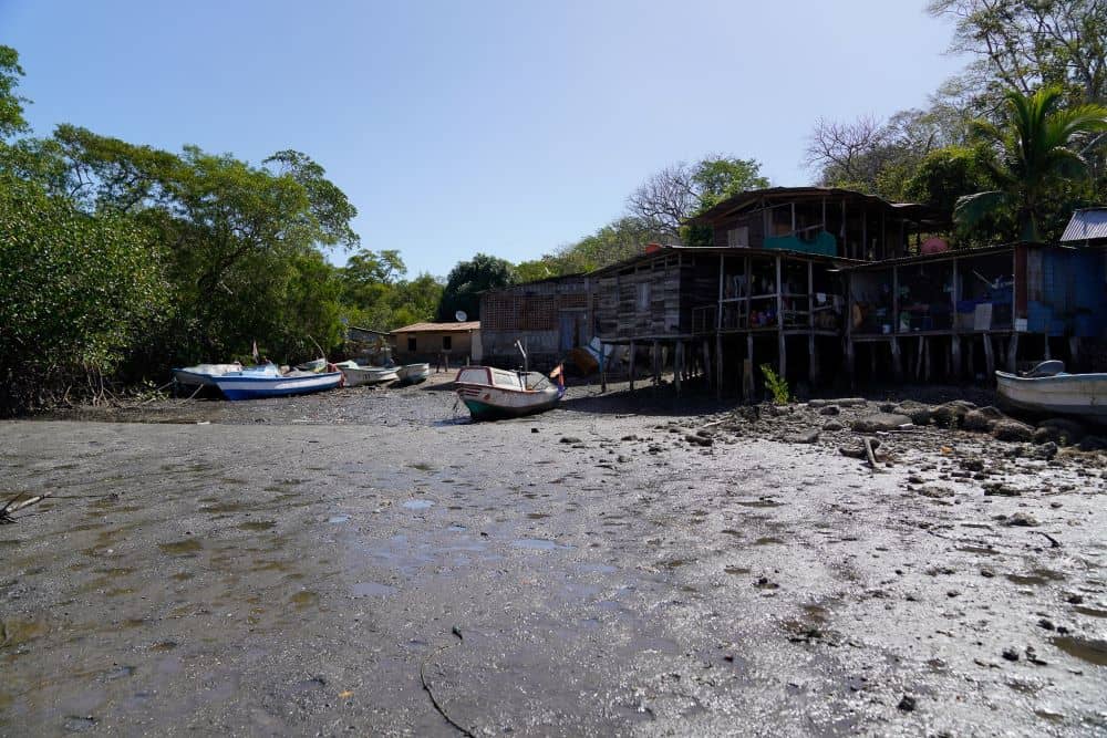 Manzanillo, Costa Rica: A women-led mangrove plantation aids in combatting the effects of climate change