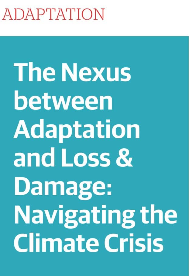 ADAPTATION | The Nexus between Adaptation and Loss & Damage: Navigating the Climate Crisis
